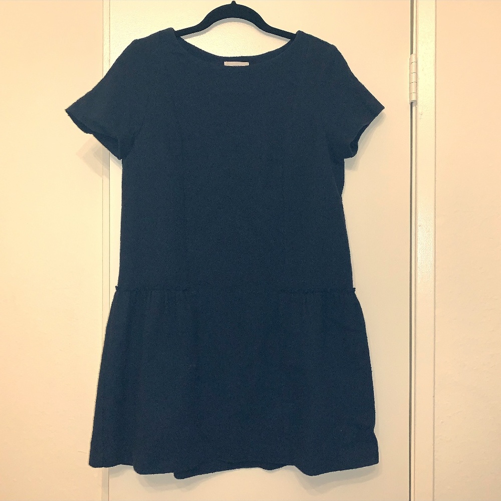 Navy sezane short-sleeve dress with seamed detail